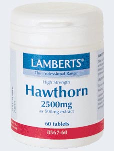 ESPINO�BLANCO�(HAWTHORN) (60�Capsules�of�2500�mg) Lamberts
